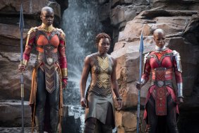 Black Panther Box Office Even Bigger with $235 Million Domestically
