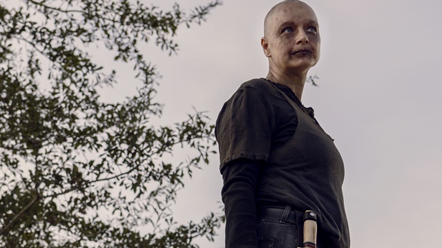 Lily God følelse Bitterhed The Walking Dead Season 9 Episode 15 Recap
