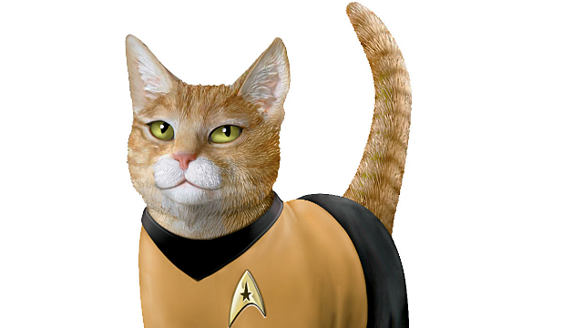 star trek cat collar