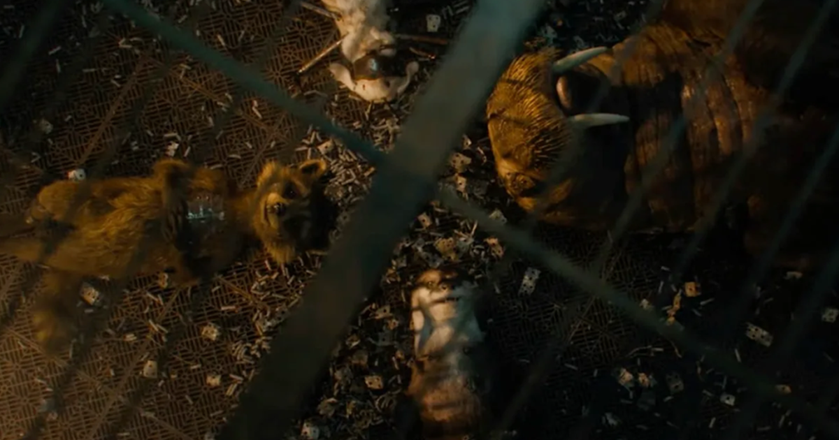 James Gunn Reveals First Drawings of Rocket's Friends in GOTG 3