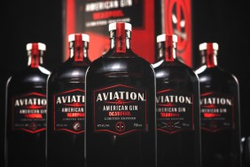 Deadpool and Wolverine Aviation American Gin Bottles