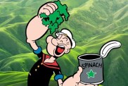 Popeye the Sailor Man eating spinach