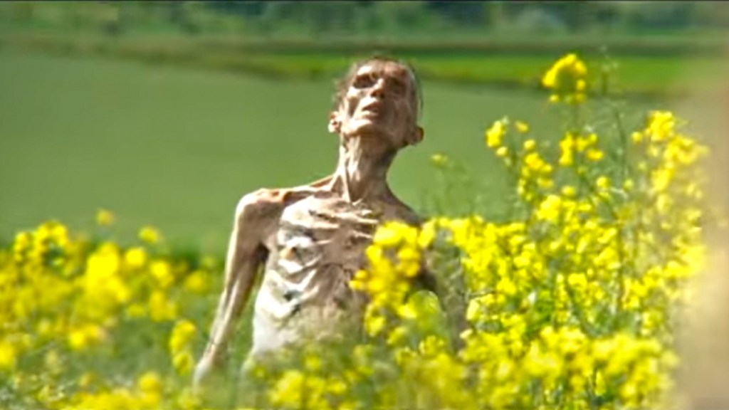 28 Years Later & Elio’s Box Office to Lose Against How to Train Your Dragon