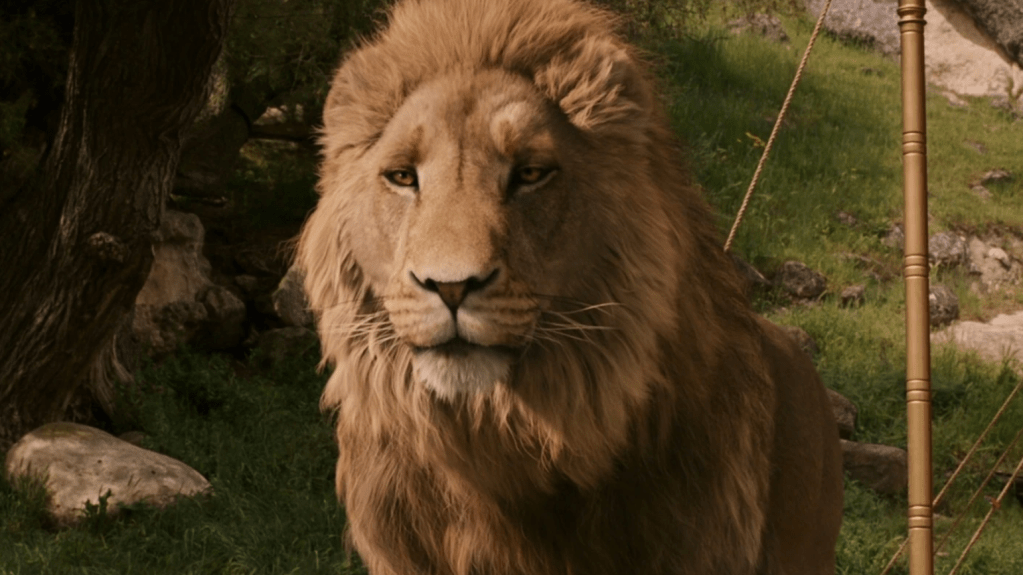 Greta Gerwig’s Narnia Set Photos Reveal Major Setting Change