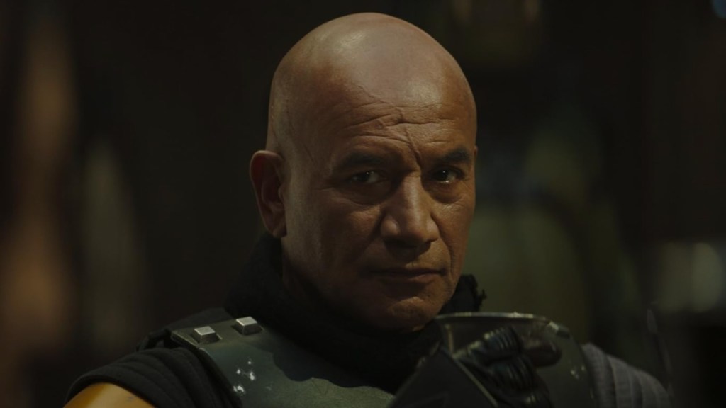 Boba Fett looks and stares.