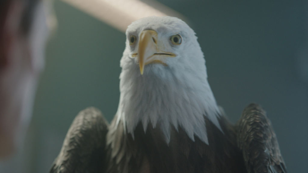 Why Fans Think Eagly Will Die in Peacemaker Season 2