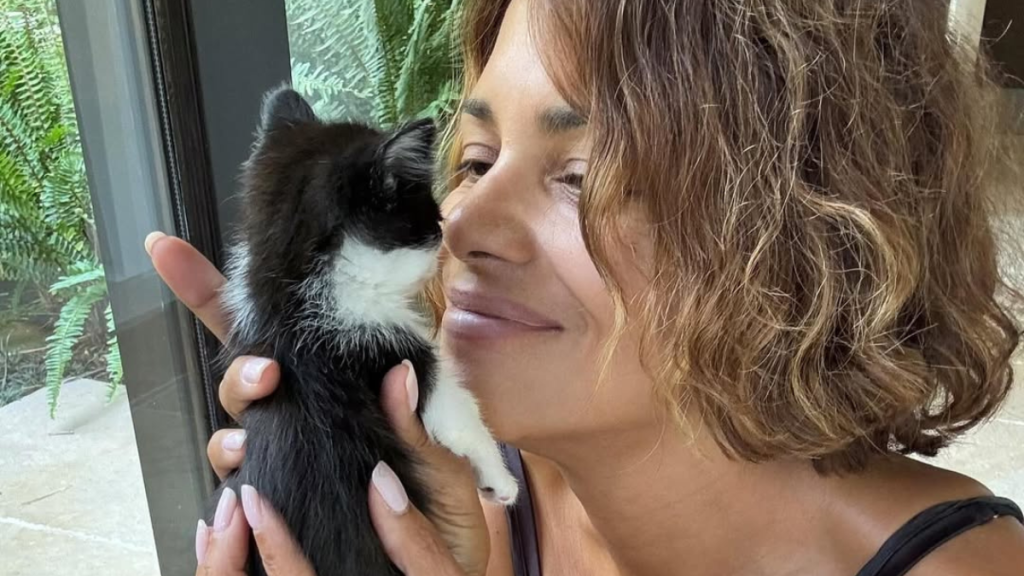 Halle Berry Says She Is the ‘Real Catwoman’ in New Instagram Post