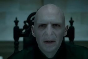 Harry Potter Series Could Have a Female Voldemort