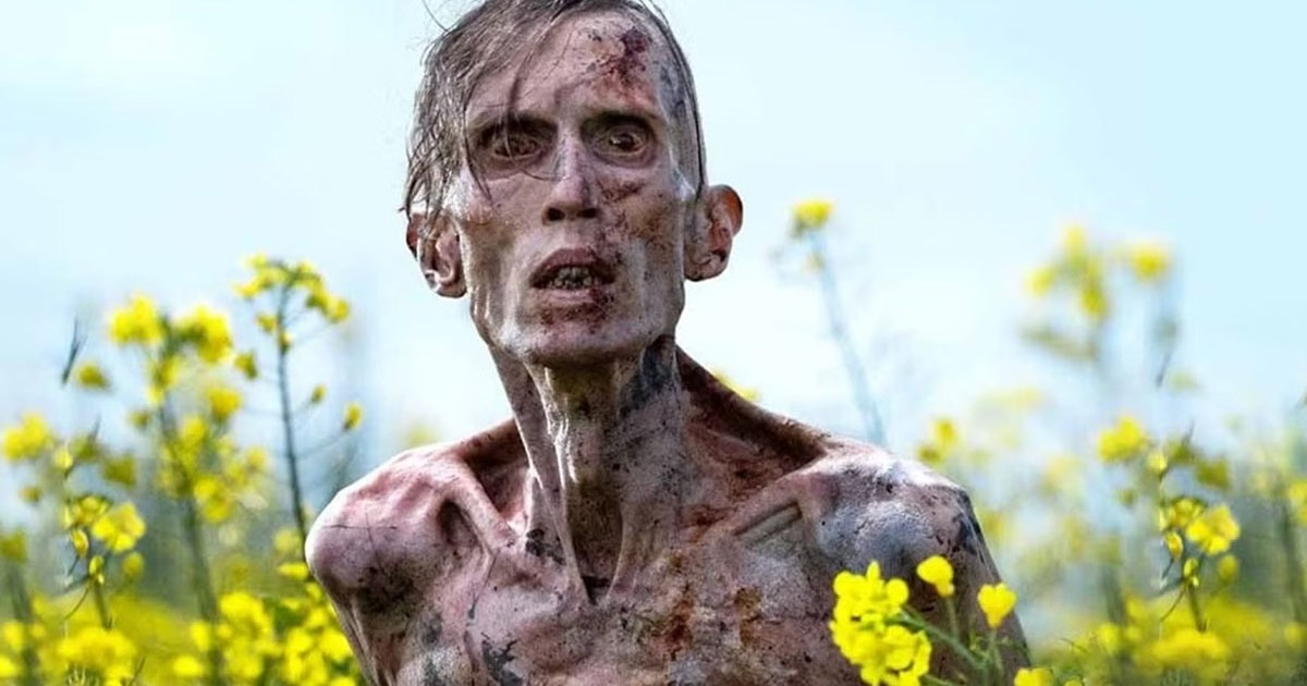 Best Movies Like 28 Years Later (December 2025)