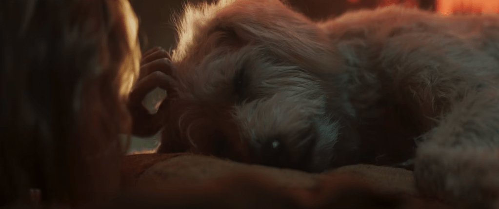 Supergirl Trailer Confirms Dog Lovers Are in for a Rough Time