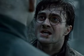 Harry Potter TV Show Is Doing What Movies Never Could