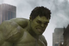 Hulk in Avengers Movie