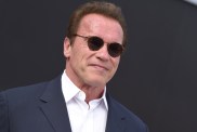 Beloved Arnold Schwarzenegger Classic Sci-Fi Movie Is Leaving Netflix