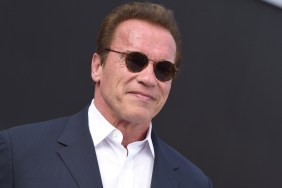 Beloved Arnold Schwarzenegger Classic Sci-Fi Movie Is Leaving Netflix