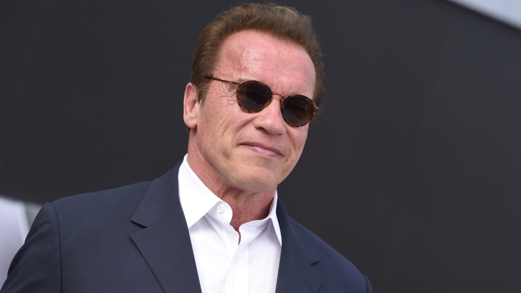 Beloved Arnold Schwarzenegger Classic Sci-Fi Movie Is Leaving Netflix