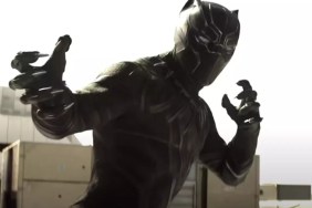 Black Panther Update Reveals When New MCU Actor Debuts