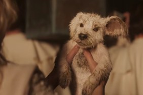 Supergirl Puppy Bowl Trailer & Poster Show Krypto as a Little Dog