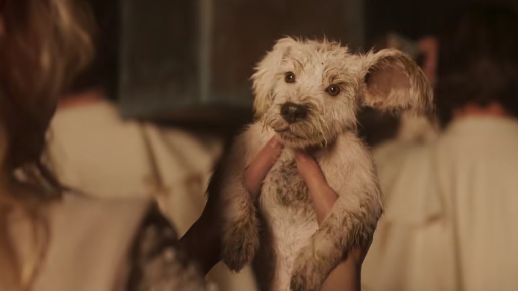 Supergirl Puppy Bowl Trailer & Poster Show Krypto as a Little Dog