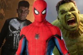 Spider-Man 4 Rumor Reveals How Punisher Will Be Able to Fight Hulk
