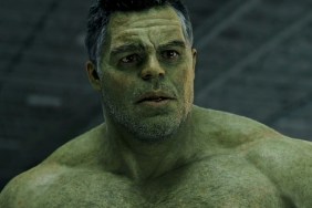 No, Hulk Star Mark Ruffalo Has Not Been Fired by Marvel
