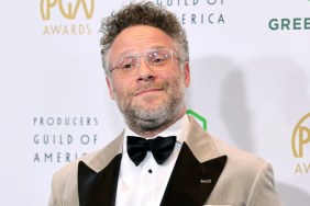 Darkwing Duck reboot Disney+ Seth Rogen Jim Cummings