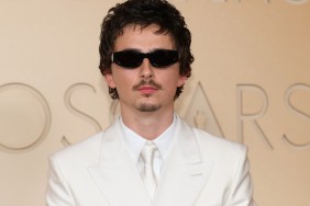 Timothée Chalamet’s Role in Spider-Man: Brand New Day Gets Huge Report