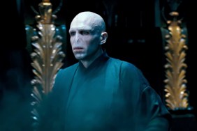 Paul Bettany Voldemort Harry Potter