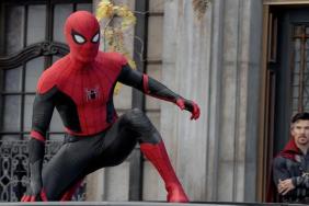Tom Holland as Spider-Man in No Way Home.