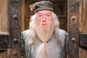 Harry Potter’s New Dumbledore Actor Reveals Why He Almost Left the Reboot