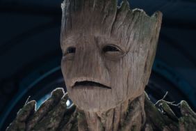 Vin Diesel's New Groot Photo Starts Avengers: Secret Doomsday Speculation