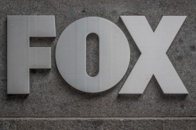 Fox ElfQuest TV show