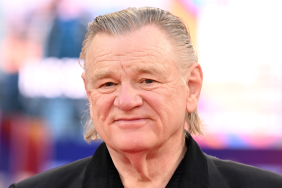 Harry Potter's Brendan Gleeson Gives Final Answer on Mad-Eye Moody Return