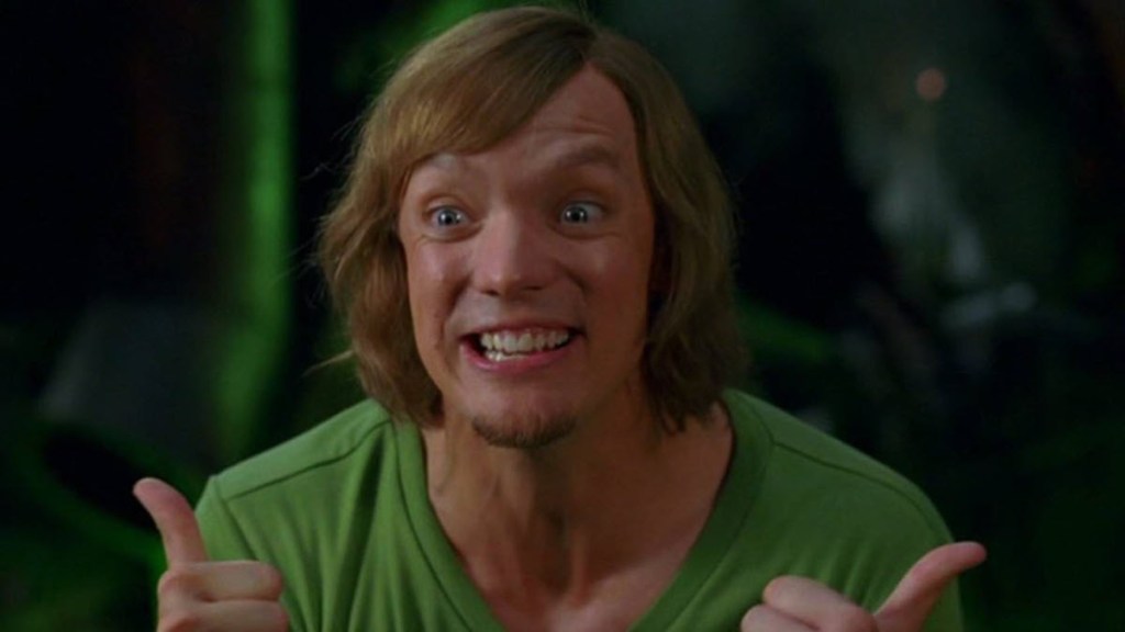Matthew Lillard as Shaggy Rogers in Scooby Doo movie