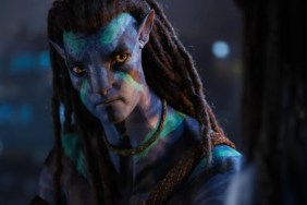 Avatar: Fire and Ash Sets Disney+ Streaming Release Date for James Cameron Sequel