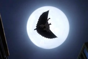 Batman Series Trailer With Matt Reeves as EP Puts the Caped Crusader Back in Action