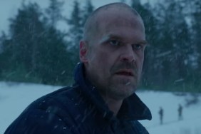 ‘Run Out of Story’: Why David Harbour Was Ready to Leave Stranger Things