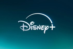 Disney+ Announces TV Show Fans Have Waited Years For, Release Date Window Set