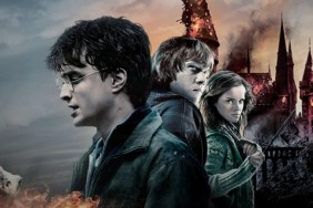 Harry Potter Fans Just Got Bad News From HBO Max & Peacock