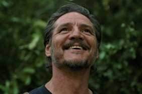 The Last of Us Season 3 Casts Acclaimed DC Actor in Original Role