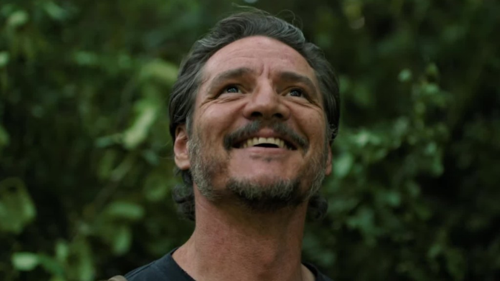 The Last of Us Season 3 Casts Acclaimed DC Actor in Original Role