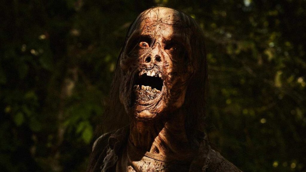 The best order to watch The Walking Dead