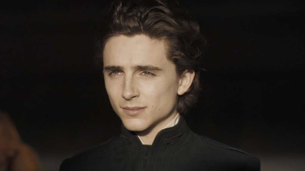 Timothee Chalamet in Dune.