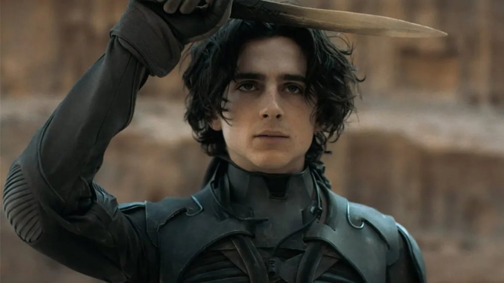 Timothée Chalamet Cast Opposite Selena Gomez in New Sci-Fi Movie