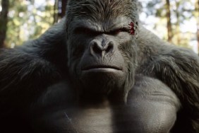 DC Fans Are Saying This About New Gorilla Grodd Casting
