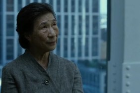 Daredevil & Iron Fist Actor Wai Ching Ho Dies, Actors Pay Tribute