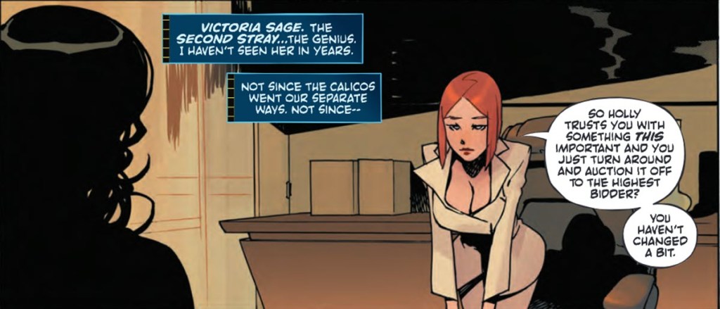 Victoria Sage aka The Question of the Absolute Universe in Absolute Catwoman #1