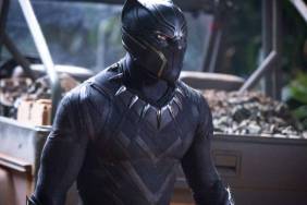 New Black Panther MCU Actor Revealed & It’s Not Damson Idris