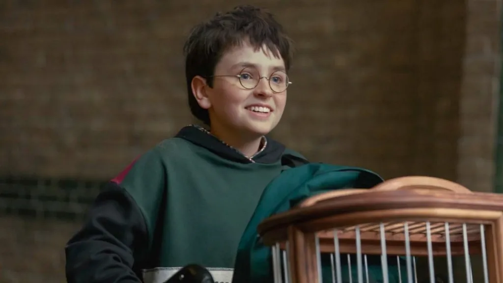 Harry Potter Casting Rumor Reveals Major DCU & X-Men Star Is Joining HBO Max TV Show