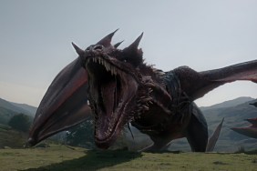How Many Dragons Are Left in House of the Dragon? Season 3 Finale Reveals Exact Number