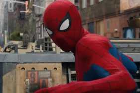 Spider-Man in Brand New Day.